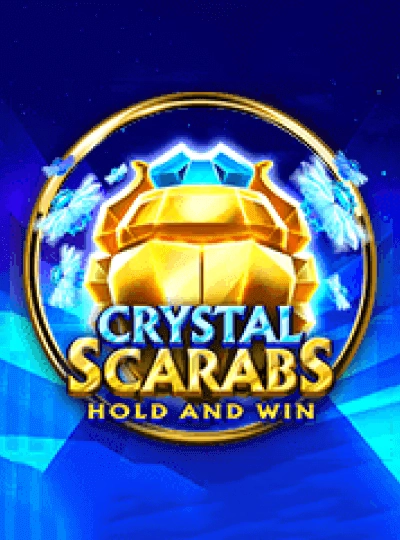 IPL cricket betting game cover